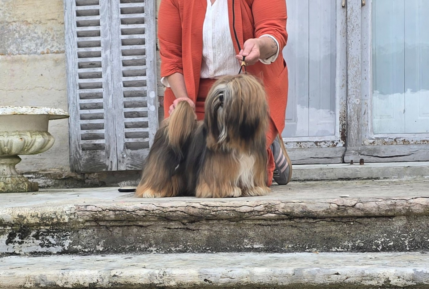 Chalenge Dreamed A Dream